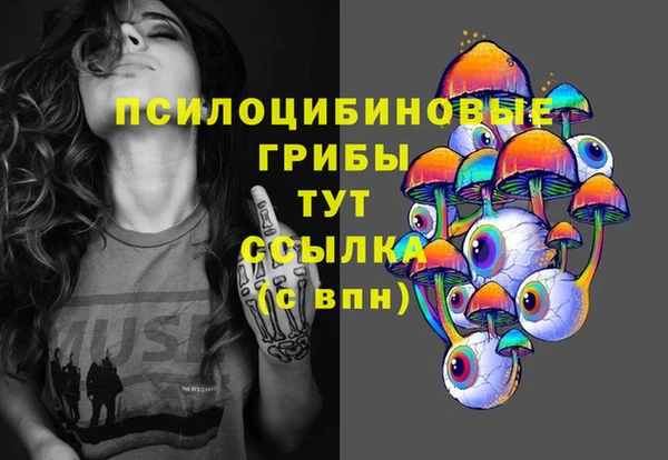 PSILOCYBIN Арсеньев