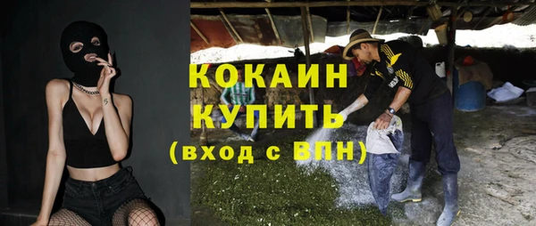 прущие грибы Аркадак