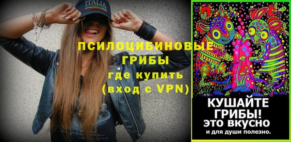 PSILOCYBIN Арсеньев